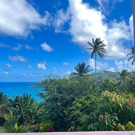 فندق Happy Nest Dominica Marigot المظهر الخارجي الصورة