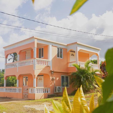 فندق Happy Nest Dominica Marigot المظهر الخارجي الصورة