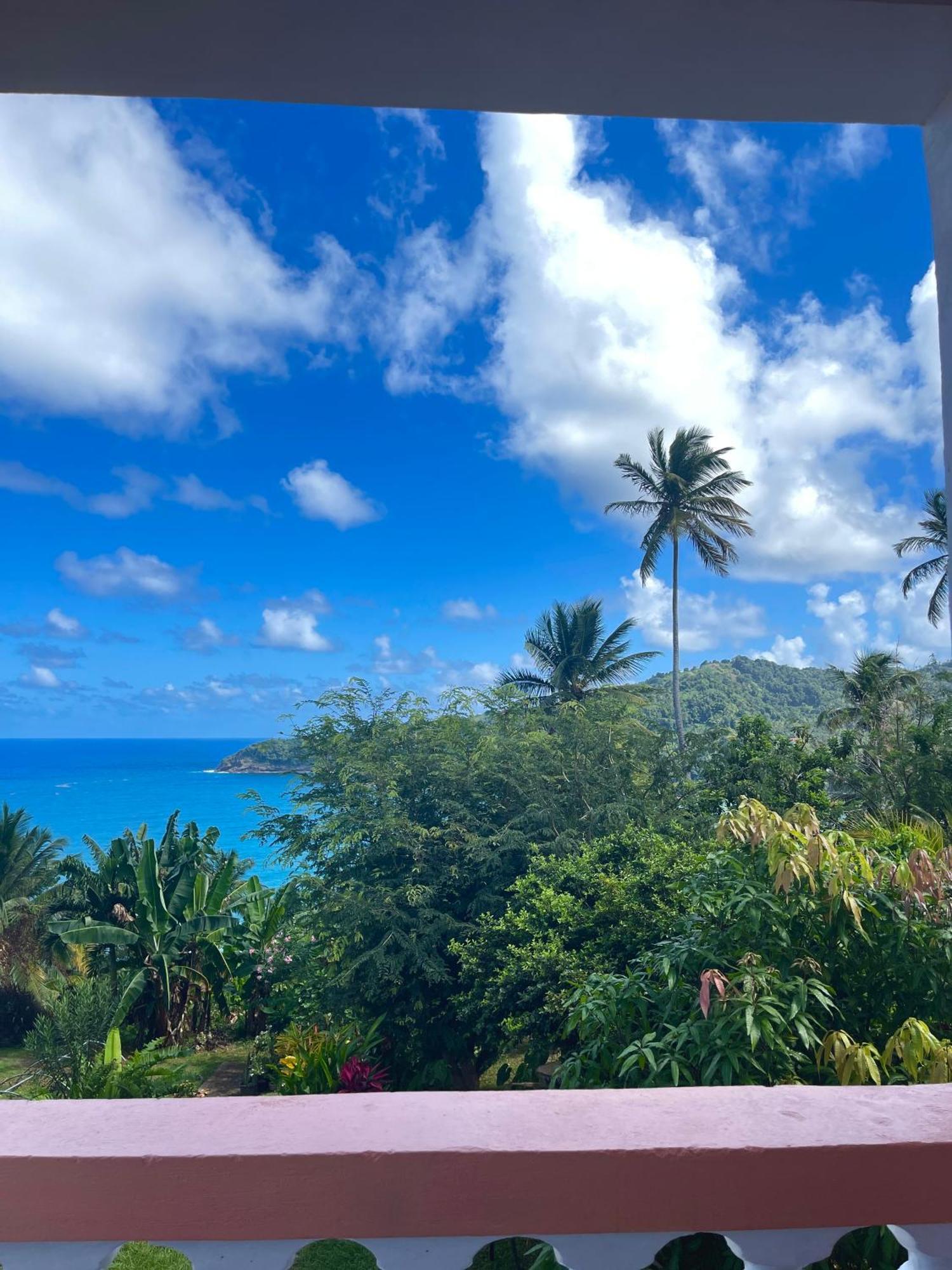 فندق Happy Nest Dominica Marigot المظهر الخارجي الصورة