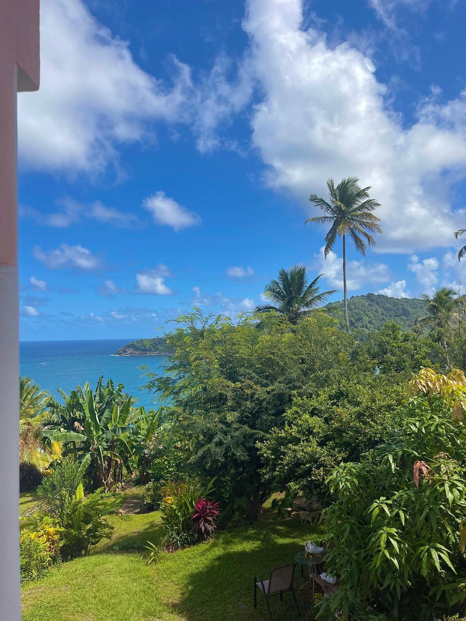فندق Happy Nest Dominica Marigot المظهر الخارجي الصورة
